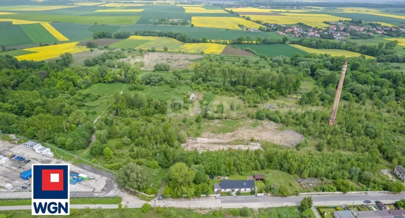 Grunt aktywizacja gospodarcza na  wynajem Pastuchów - NA WYNAJEM grunt inwestycyjny 92.284 m2 z MPZP, Pastuchów, powiat świdnicki